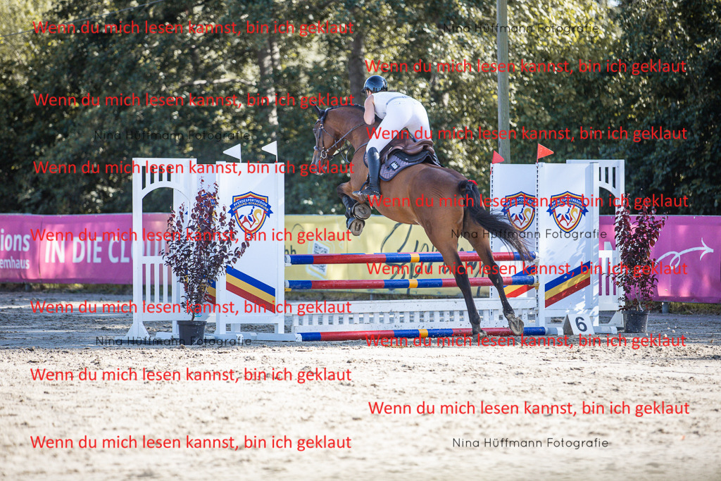 BK1A7275 | Turnierbilder Turnierfotos Nina Hüffmann Turnierfotografie Pferdefotografie Tierzeichnung Haustierzeichnung Pferdezeichnung Hundezeichnung Videograf  - Realisiert mit Pictrs.com