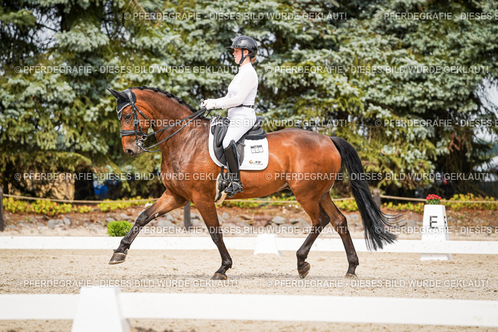 DSC06784 | Pferdegrafie