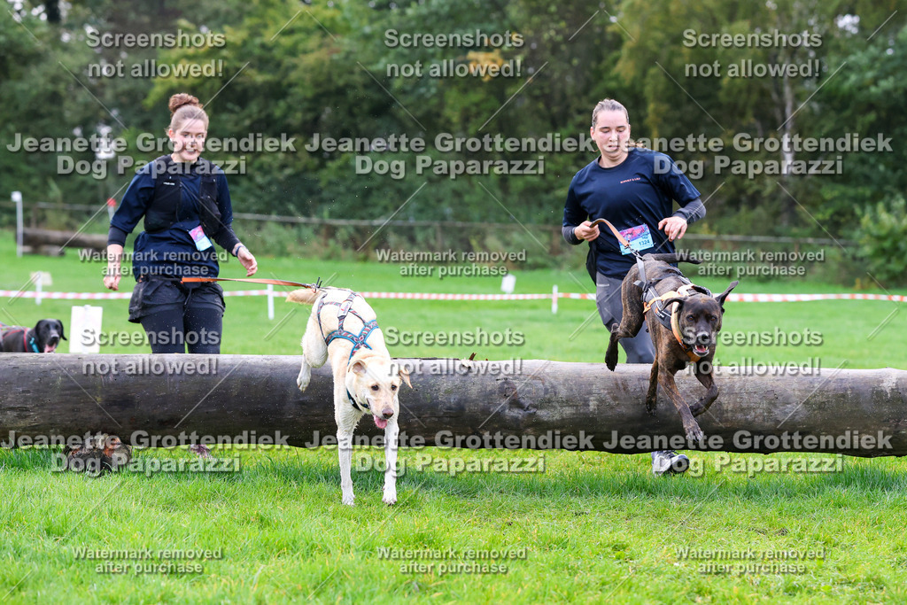 Dog Paparazzi -  SD1026-997 | Dog Paparazzi Jeanette Grottendiek Fotografie & Videografie - Realisiert mit Pictrs.com