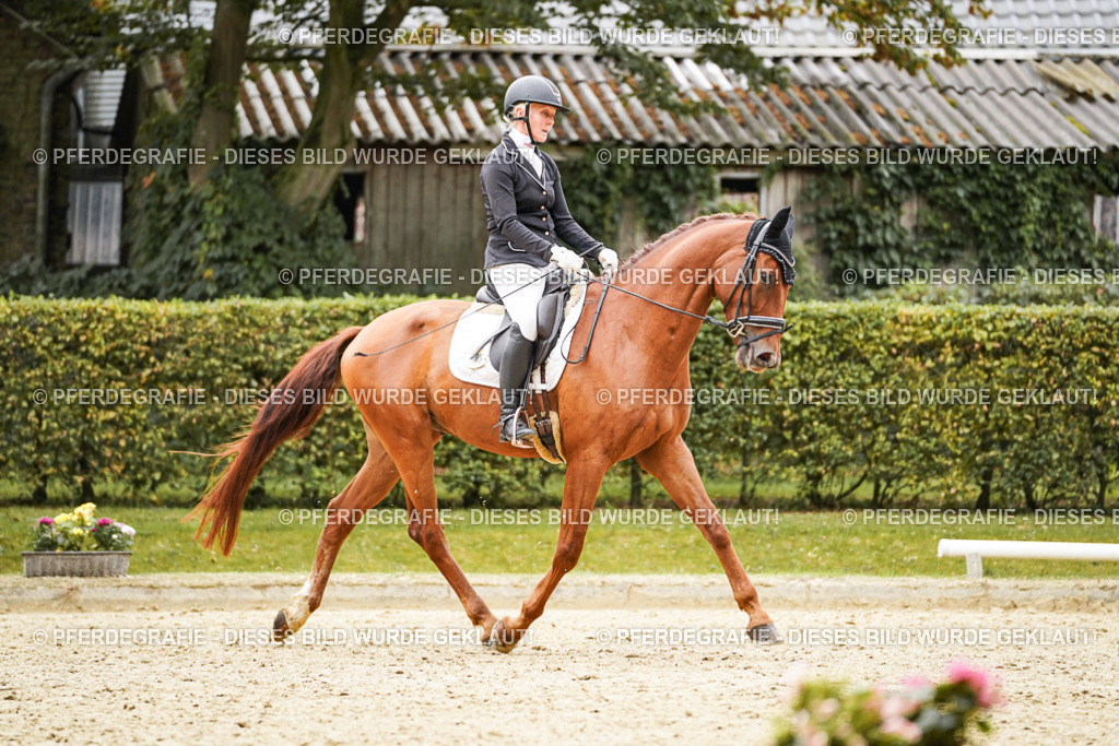 DSC08368 | Pferdegrafie