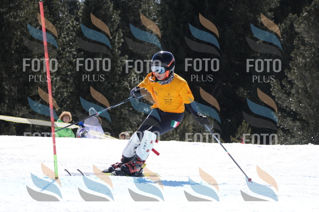 C9280 | holidayphoto