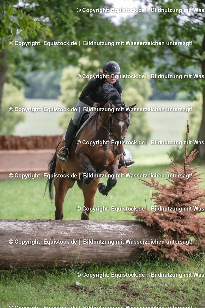 20250726_Vielseitigkeitslehrgang-Marbach_0769 | Foto: Thomas Hartig