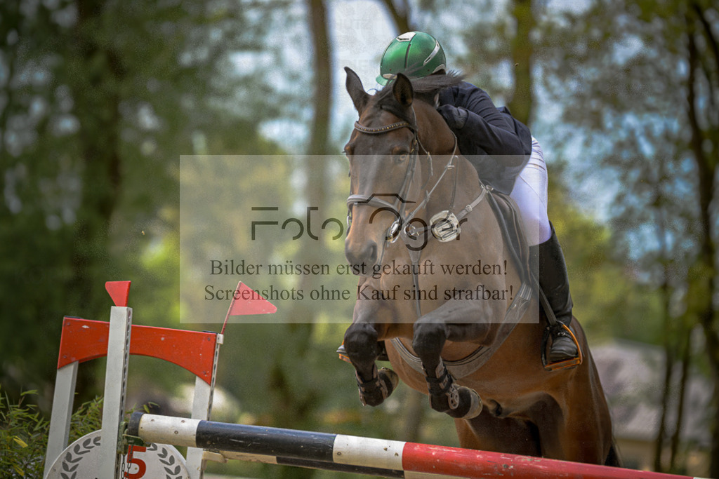 20240505-DOS_1856 | Entdecke hochwertige Reitturnierfotos von Foto Oger. Professionell, emotional und authentisch – jetzt Lieblingsmomente im Shop bestellen.Deutschlandweite Turnierfotografie. - Realisiert mit Pictrs.com