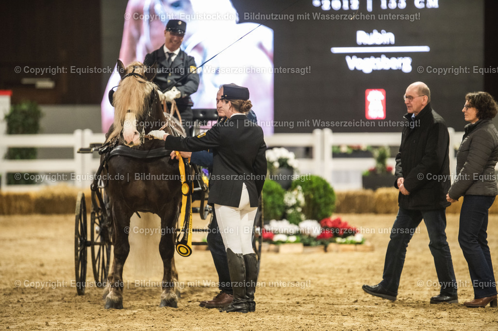 20240302_Hengstvorstellung_Marbach_TOMsPiC_0642-2 | equistock
