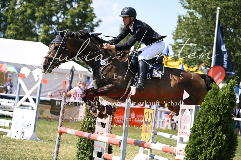 DSC_0276 | Pferde- und Turnierfotografie in Westsachsen. Pferdeportraits, Auftragszeichnungen und intuitive Kunst.