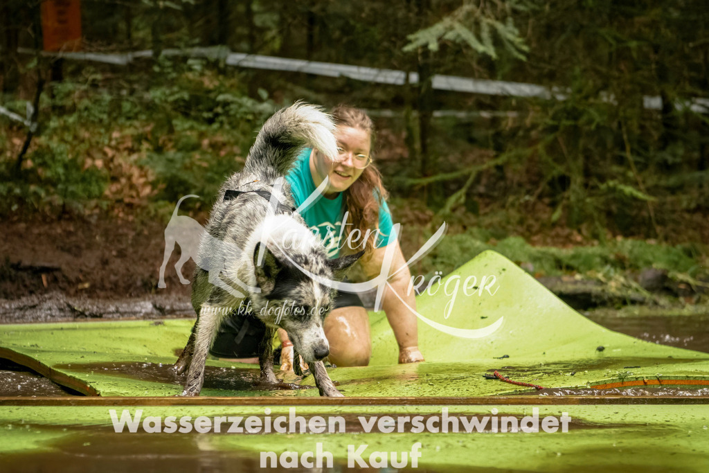 1204_ZZ92512-Bearbeitet | kk-dogfotos