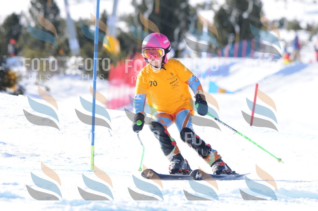 C6949 | holidayphoto