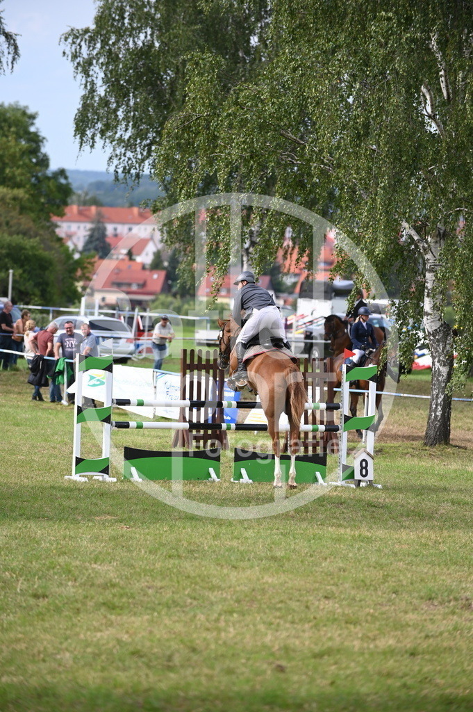 DSC_3031 | sattelsport - Realisiert mit Pictrs.com