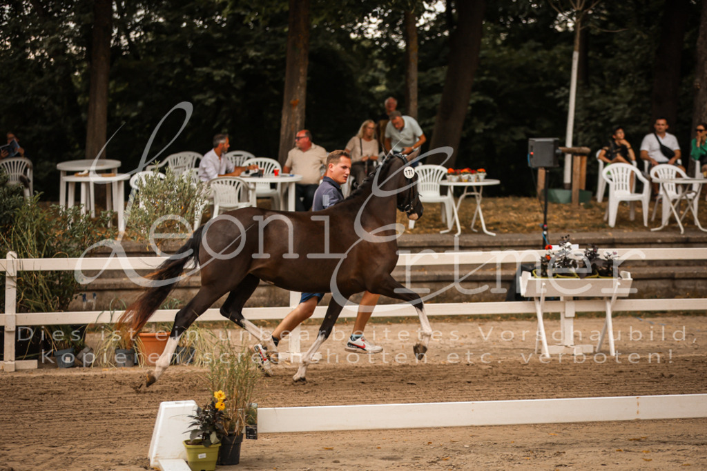 10.-12.Elite00048 | Leoni Ertmer Photography - Realisiert mit Pictrs.com