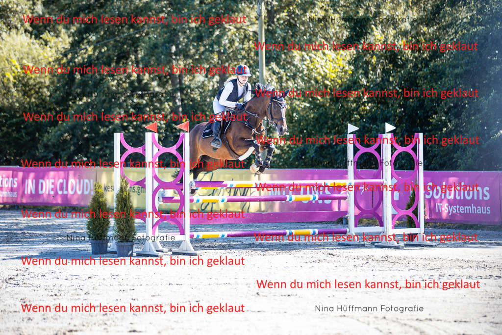BK1A5705 | Turnierbilder Turnierfotos Nina Hüffmann Turnierfotografie Pferdefotografie Tierzeichnung Haustierzeichnung Pferdezeichnung Hundezeichnung Videograf  - Realisiert mit Pictrs.com