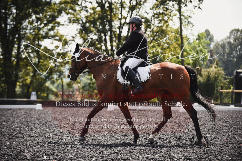 DSC_4162 | Pferde- und Turnierfotografie in Westsachsen. Pferdeportraits, Auftragszeichnungen und intuitive Kunst.