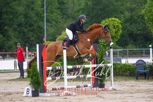 DKP41767 | Turniersportfotografie; Pferdefotografie; Dressurfotografie