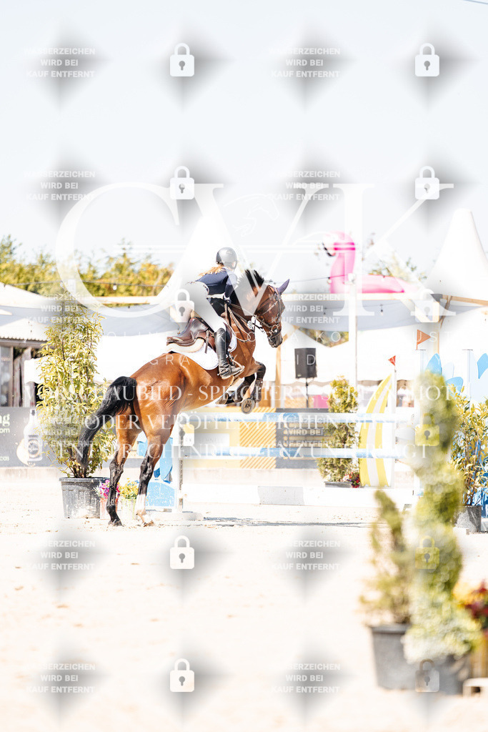 CK909564 | Turnierfotografie Pferdefotografie Trier Rheinland-Pfalz Pferdesport Reitsport Tierfotografie Sportfotografie Pferdevideo Pferdevideografie Equestrianvideography equestrianphotography  - Realisiert mit Pictrs.com