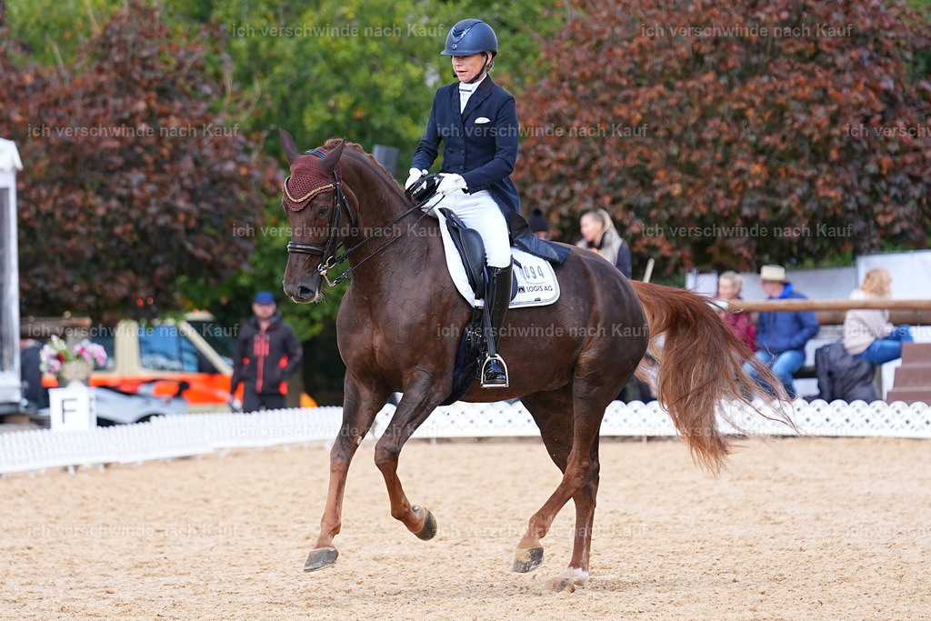 09_2-094-DRESSUR  S_  -Marixx-5971 | working equitationturnier fotograf videograf stoibphotography marixx film working equitation deutschland reitsport turnierfotografie eventfotografie equestrian events
