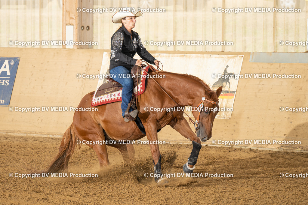 LAU01645 | dv-media-shop - Realisiert mit Pictrs.com