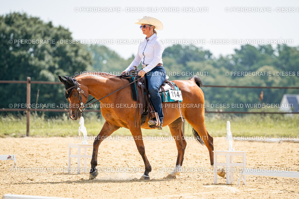 DSC00389 | Pferdegrafie