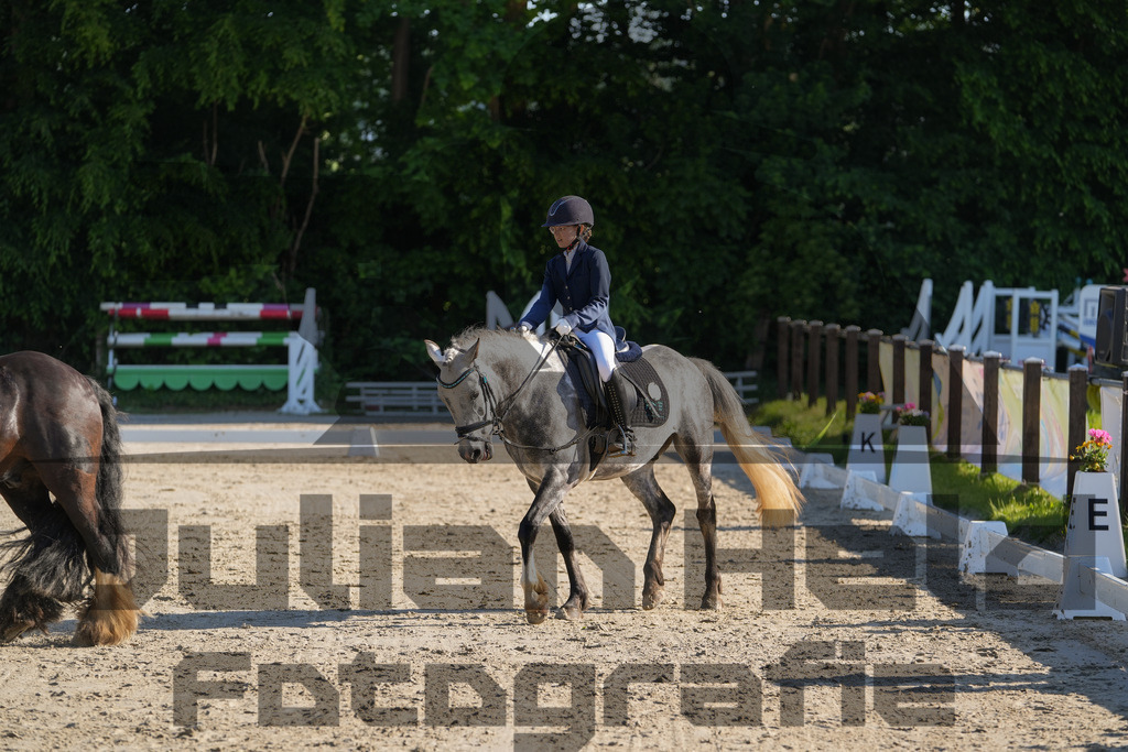 DSC02769 | Julian Held Fotografie - Realisiert mit Pictrs.com