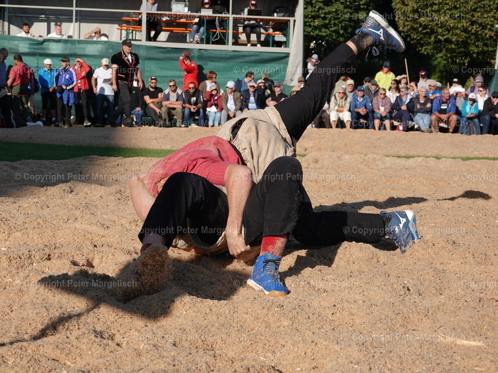 DSC05534 | Schwingen - Realisiert mit Pictrs.com