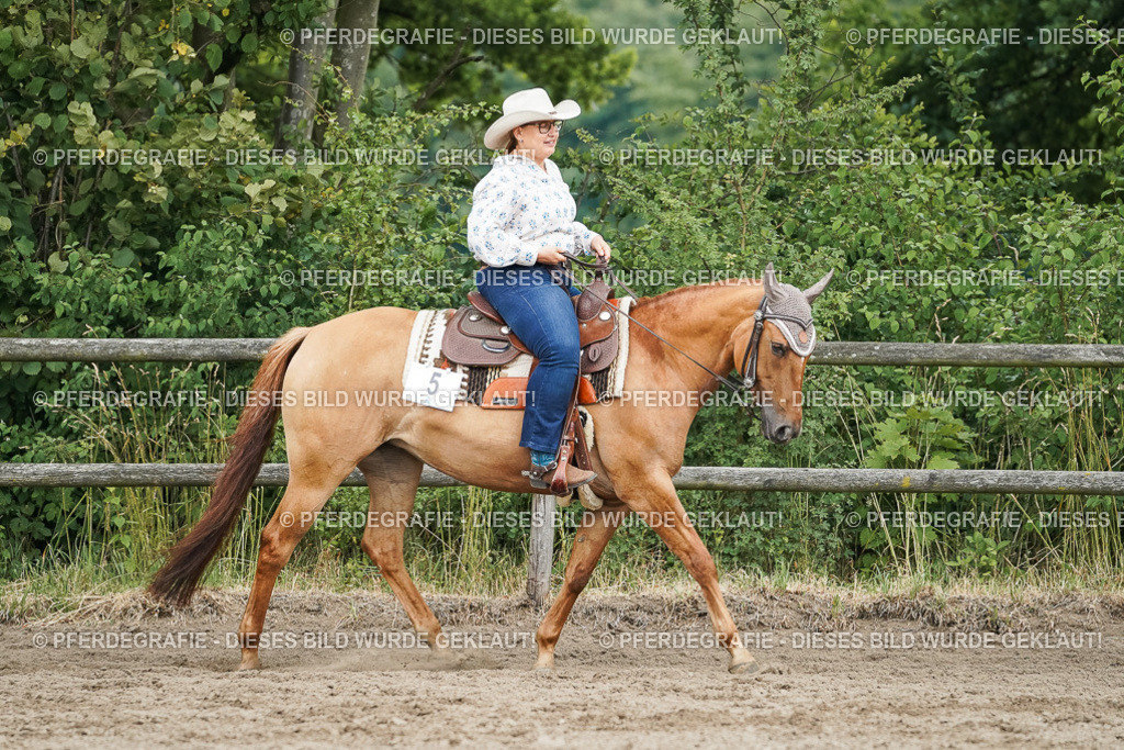 DSC04000 | Pferdegrafie