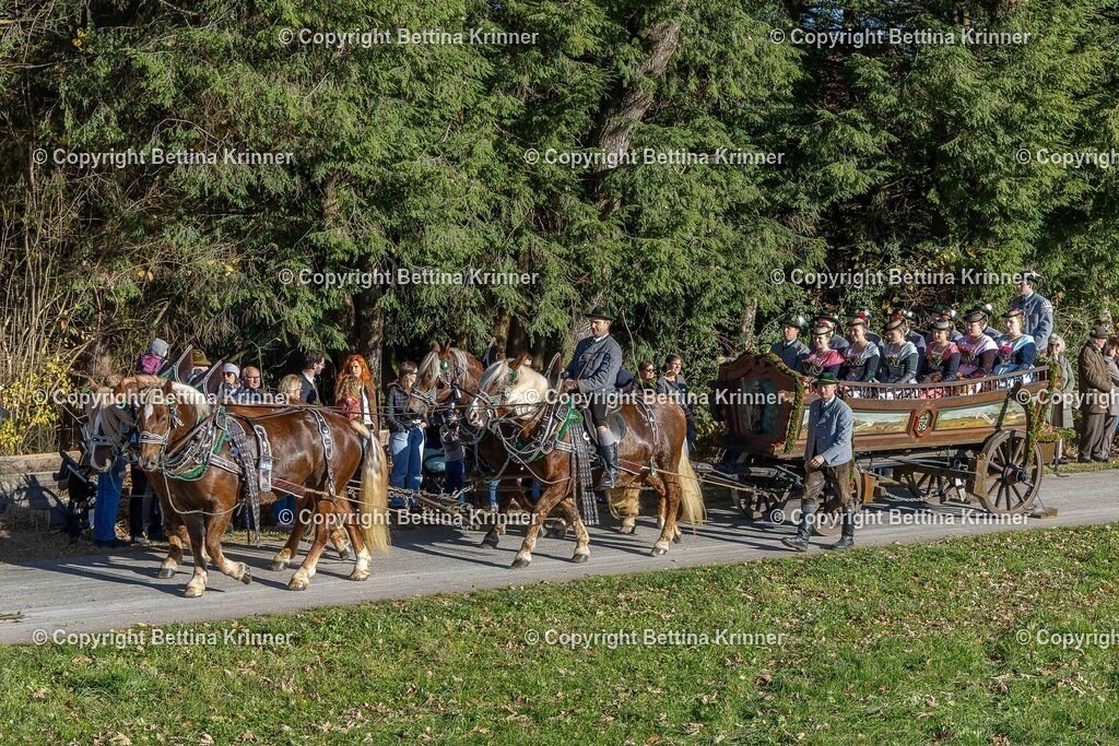 LBT25-332 | foto-bettina-krinner - Realisiert mit Pictrs.com