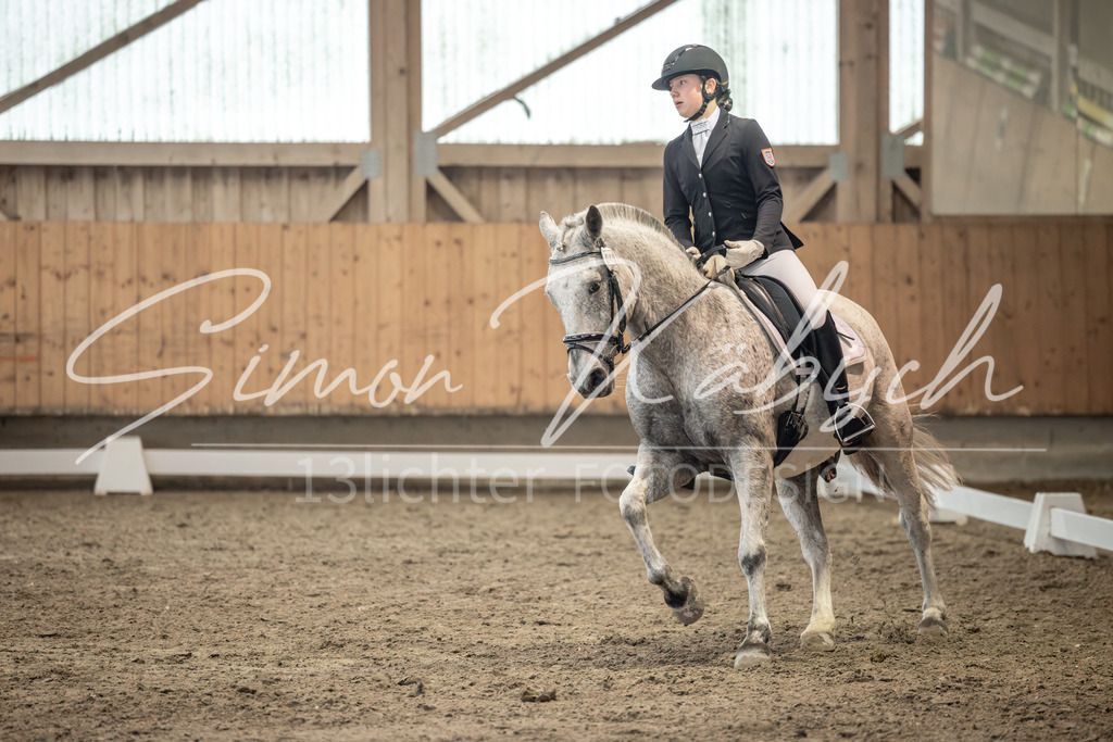 20251011-_3LI6924 | Tierfotografie Pferde, Hunde, Katzen, Haustiere.
Turnierfotografie Reitturniere, Reiten, Springreiten, Dressur in Hanau, dem Main-Kinzig-Kreis und dem Rhein-Main- Gebiet um Frankfurt