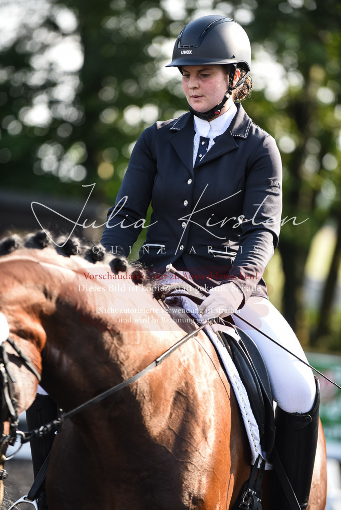 DSC_3208 | Pferde- und Turnierfotografie in Westsachsen. Pferdeportraits, Auftragszeichnungen und intuitive Kunst.