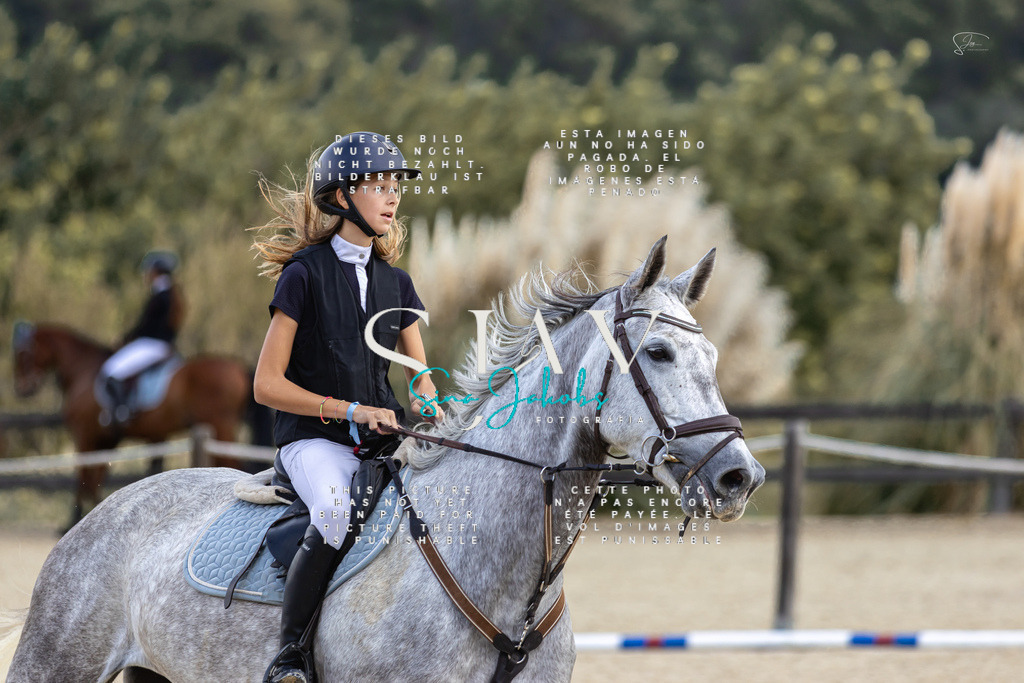 IMG_6156 | s-jay-photography - Realisiert mit Pictrs.com