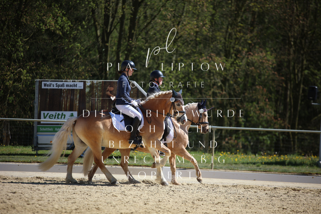 IMGT1690 | pl-fotografie