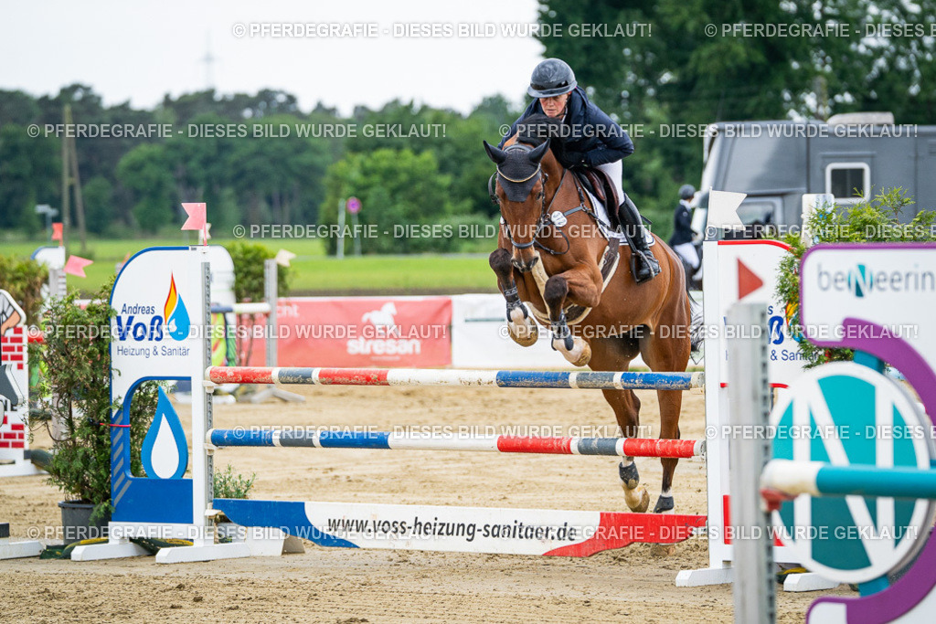 DSC05794 | Pferdegrafie