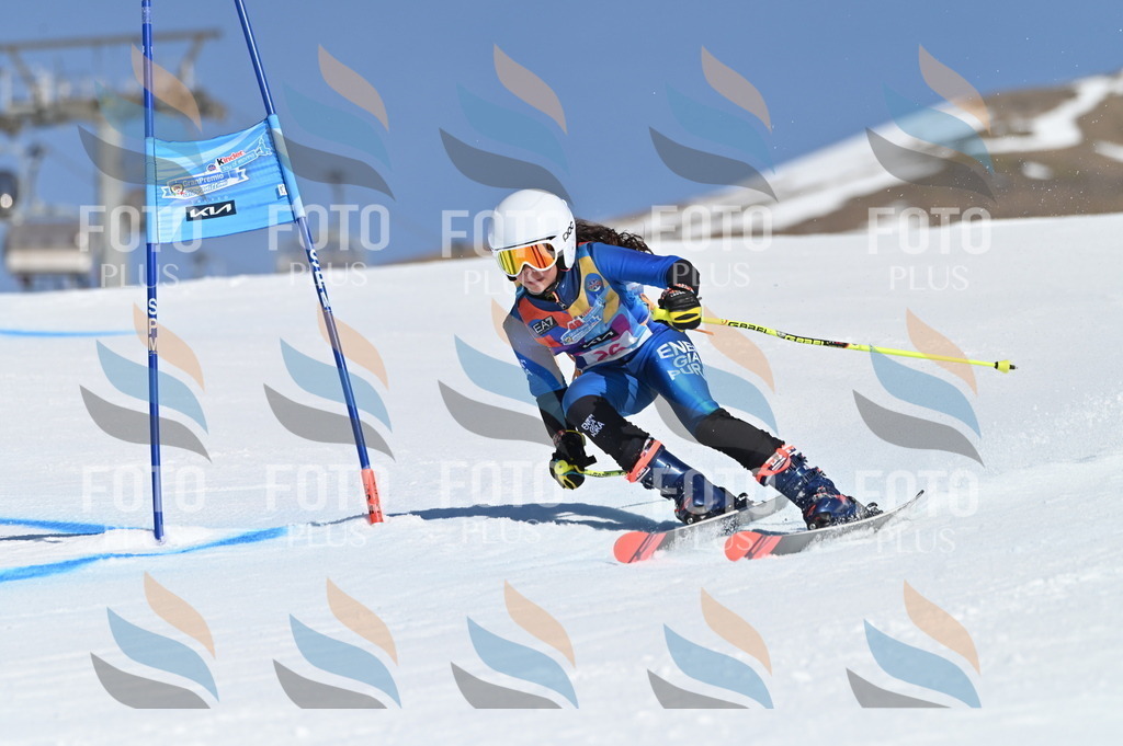 BGV_8075 | holidayphoto