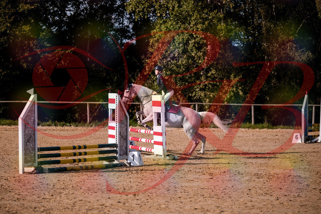 2026_10_03_Siefer-Hof_155148_Z81_71051171 | Professionelle Reitsport-, Turnier- und Eventfotografie von Robert Broda. Galerien mit ausgewählten und bearbeiteten Bildern direkt online ansehen und bestellen.