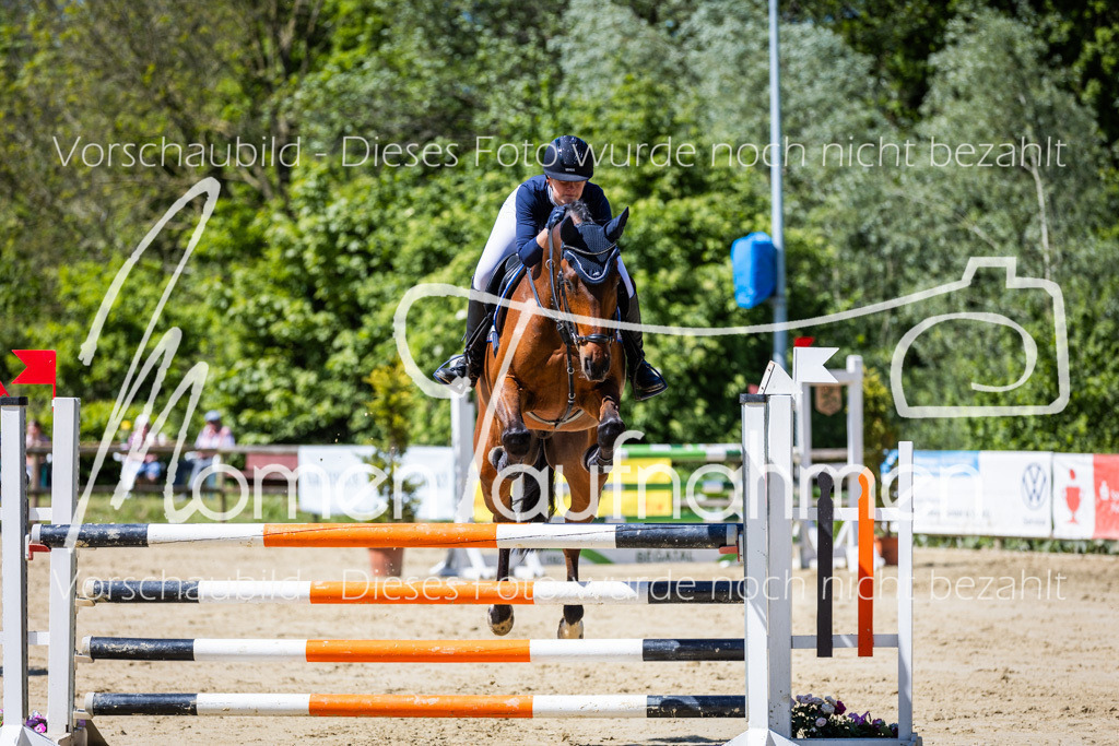 Donop24-L-Spr-027 | MomenTaufnahmen Pferdesportfotos