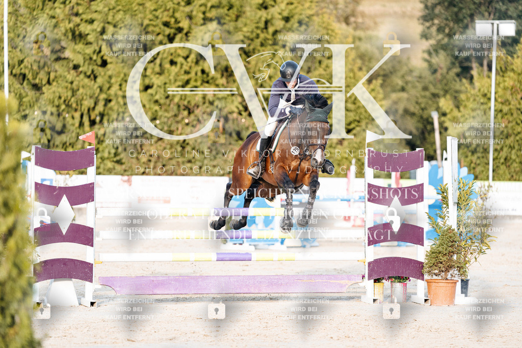 CK900872 | Turnierfotografie Pferdefotografie Trier Rheinland-Pfalz Pferdesport Reitsport Tierfotografie Sportfotografie Pferdevideo Pferdevideografie Equestrianvideography equestrianphotography  - Realisiert mit Pictrs.com
