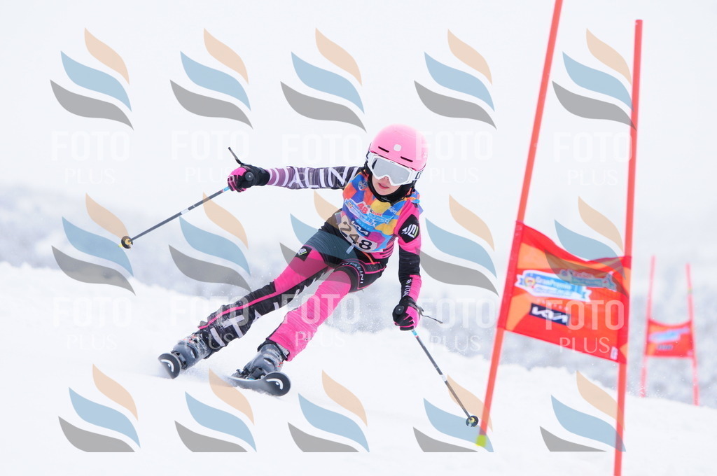 C2601 | holidayphoto