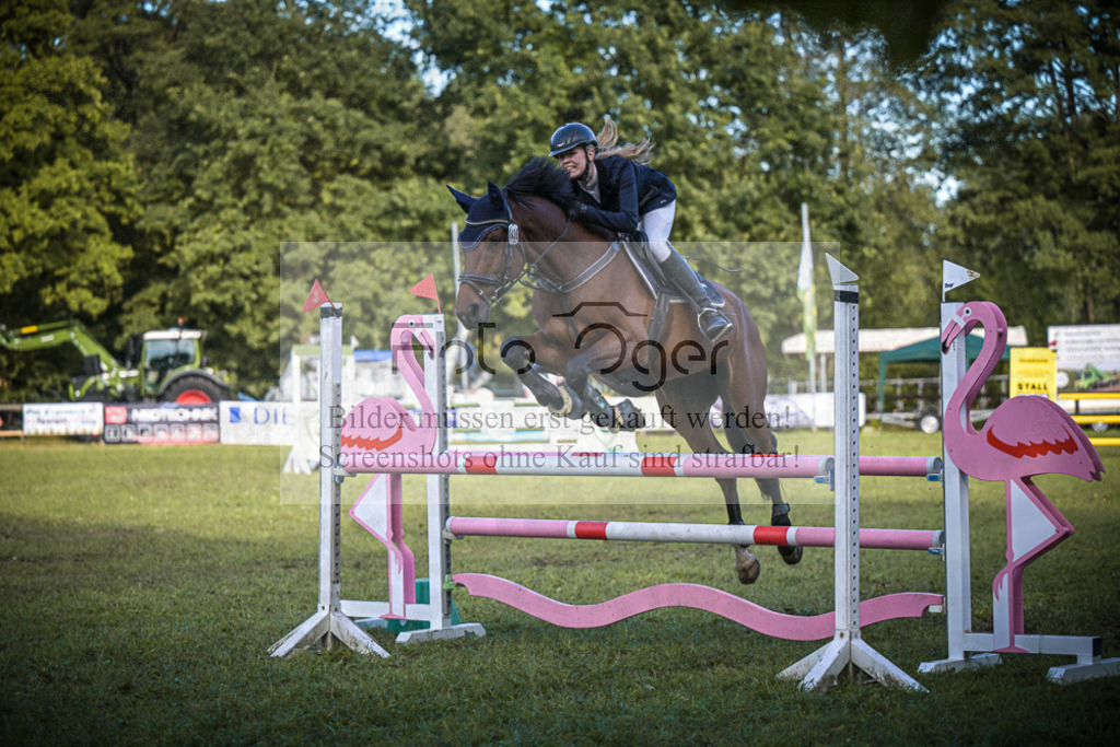 DOS_0250 | Entdecke hochwertige Reitturnierfotos von Foto Oger. Professionell, emotional und authentisch – jetzt Lieblingsmomente im Shop bestellen.Deutschlandweite Turnierfotografie. - Realisiert mit Pictrs.com