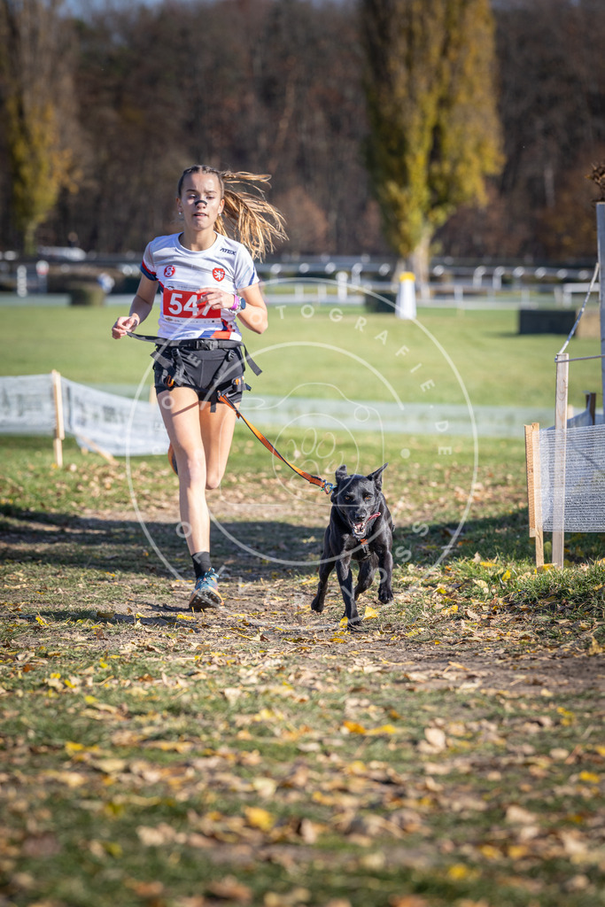 CaniXpix_DV3A8446 | Hundefotografie, Tierfotograf, Pfotenfotografie, Fotoshooting Hund, Hunde Portrait, Hundesport, Hundeportraits, Heideshooting, Hunde, Sportfotograf, Hundefotograf, Turnierhundsport, THS,  - Realisiert mit Pictrs.com