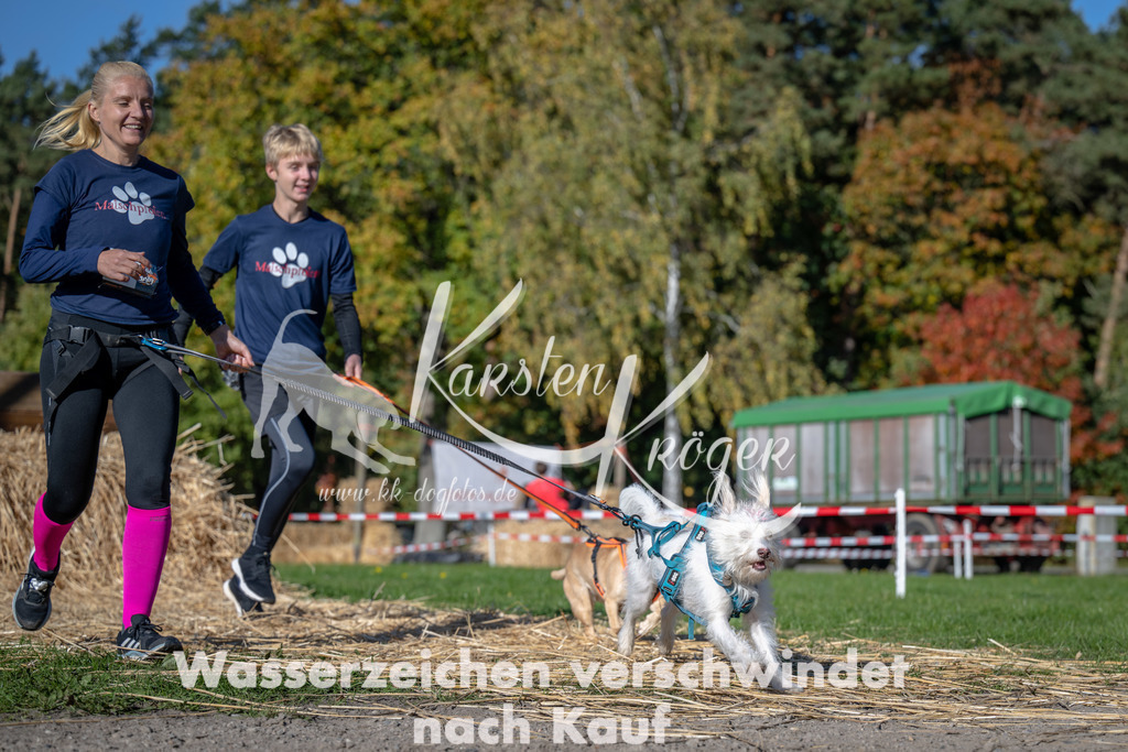 1125_ZZ90023 | kk-dogfotos