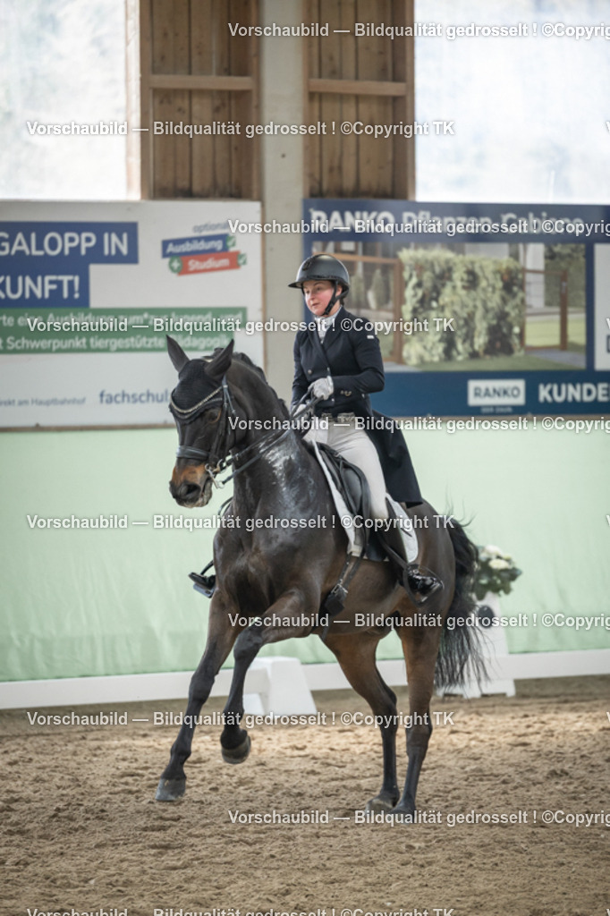 _D5A5251 | Emotionale Pferde- & People-Fotografie rund um Heidelberg, Leimen & Umgebung. Natürliche Fotos von Pferd, Mensch & Familie. Jetzt Termin sichern!