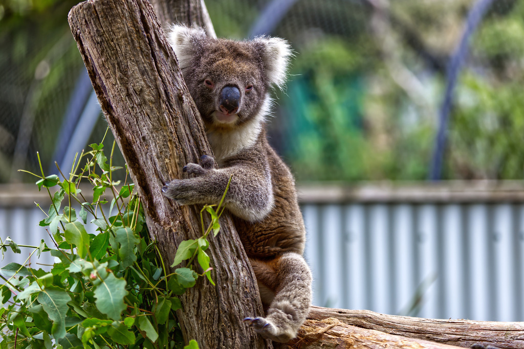 1H5A5878 | ansichtssache