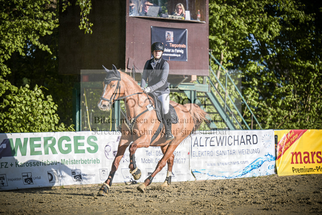 DOS_4147 | Entdecke hochwertige Reitturnierfotos von Foto Oger. Professionell, emotional und authentisch – jetzt Lieblingsmomente im Shop bestellen.Deutschlandweite Turnierfotografie. - Realisiert mit Pictrs.com