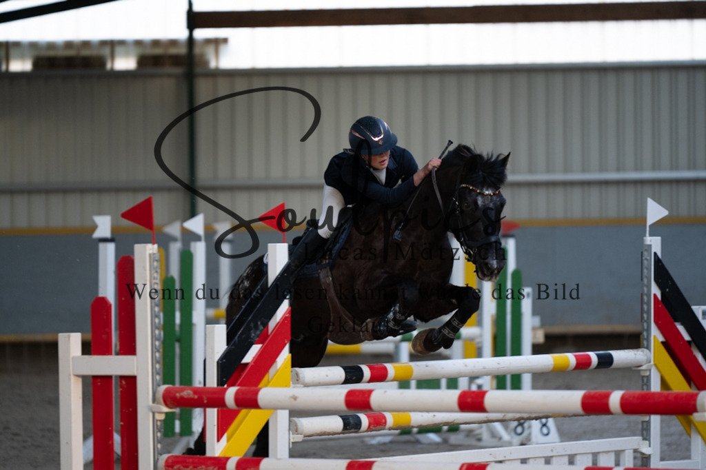 A7V07625 | Pferdefotograf