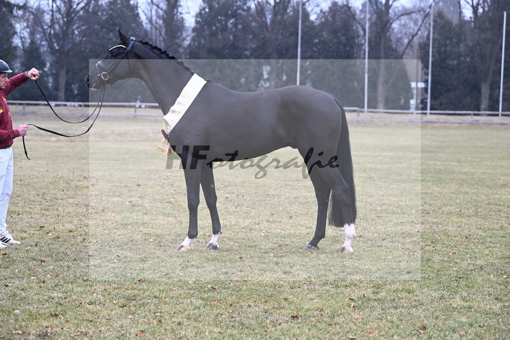 Kat.-Nr. 57 v. Feliciano_Vavrikova_3265748 | hf-fotografie - Realizzato con Pictrs.com