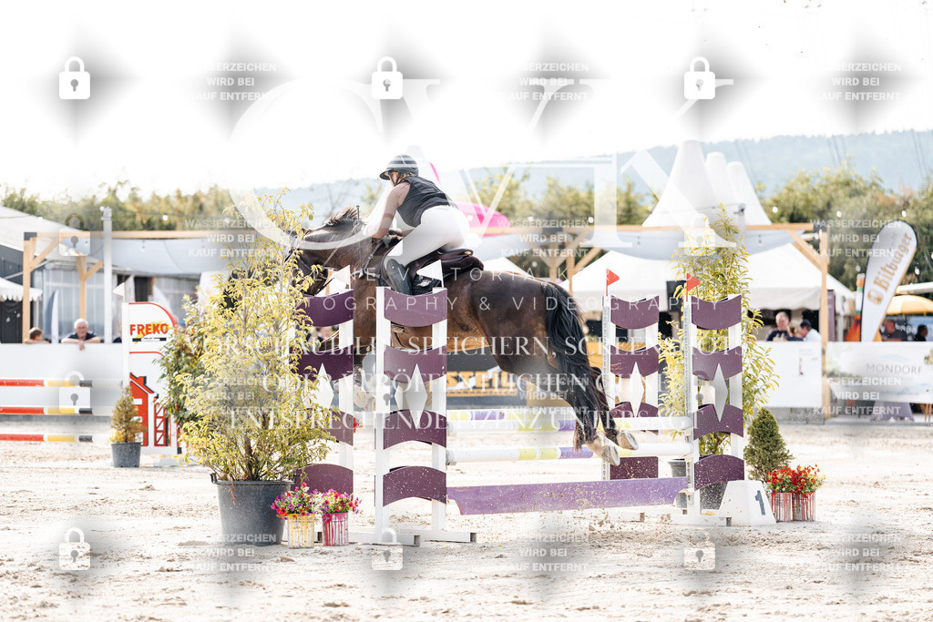 CK906555 | Turnierfotografie Pferdefotografie Trier Rheinland-Pfalz Pferdesport Reitsport Tierfotografie Sportfotografie Pferdevideo Pferdevideografie Equestrianvideography equestrianphotography  - Realisiert mit Pictrs.com