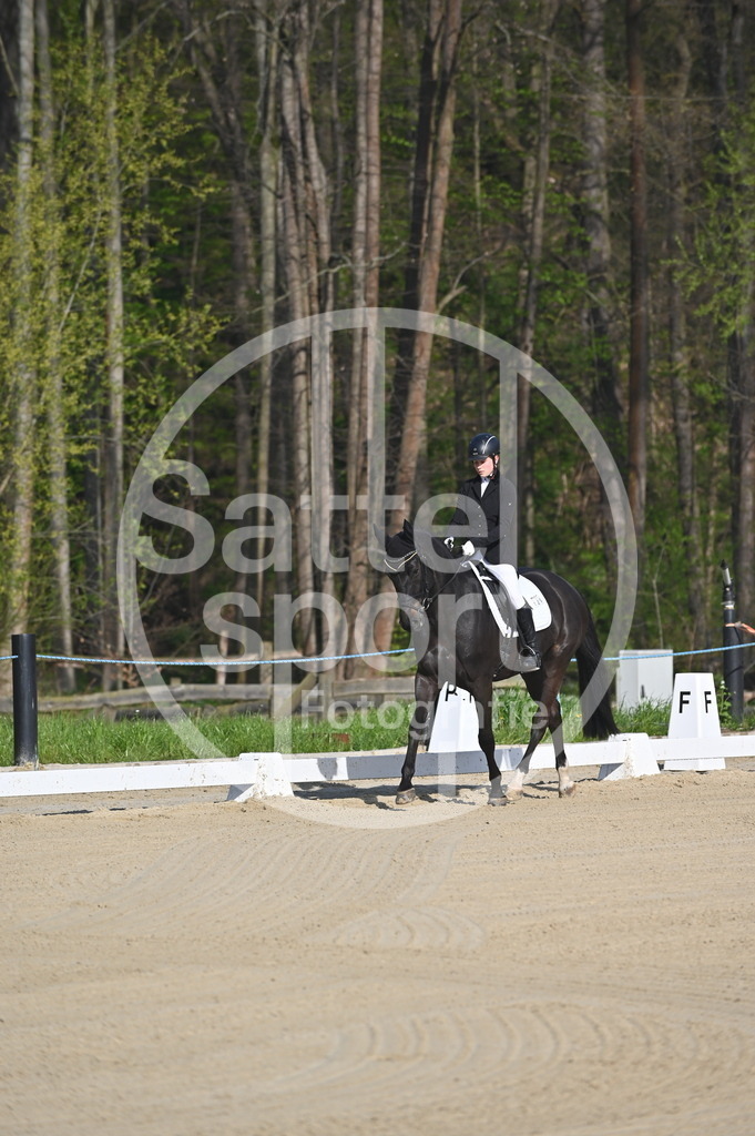 DSC_9915 | sattelsport - Realisiert mit Pictrs.com