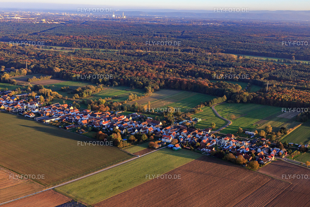 Saarstraße aus Nordwesten | Luftbild: Saarstraße aus Nordwesten in Kandel im Bundesland Rheinland-Pfalz in Deutschland. Foto: IMG_095820.jpg vom 30.10.2016 durch Werner Riehm/FLY-FOTO.de - Realisiert mit Pictrs.com