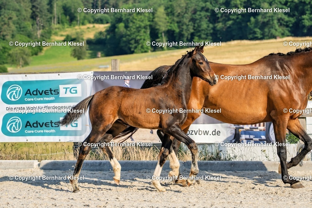 A1S06942 | foto-team-bernhard - Realisiert mit Pictrs.com