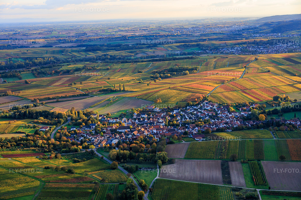 Luftbild: Ortsansicht von Norden in Göcklingen im Bundesland Rheinland-Pfalz in Deutschland. Foto: IMG_150355.jpg vom 15.10.2025 durch Werner Riehm/FLY-FOTO.de