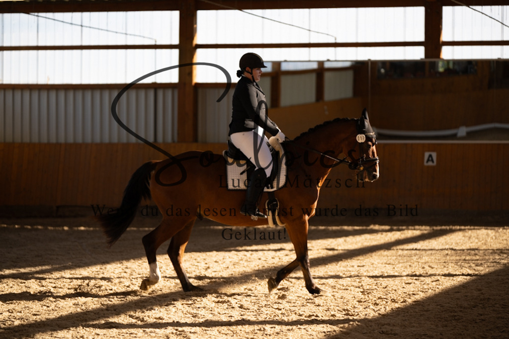 A7V01796 | Pferdefotograf