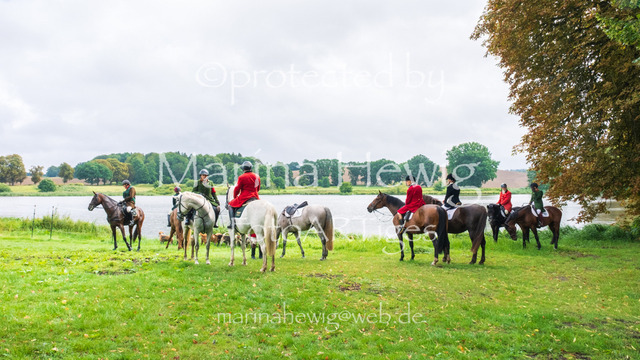 Jagd Kletkamp 26-9588_MarinaHewig | Fotografie, FotoArt, PferdesportArt, Pferdesportfotografie, Landschaftsfotografie, Reisefotografie, Reise, Pferde - Realisiert mit Pictrs.com