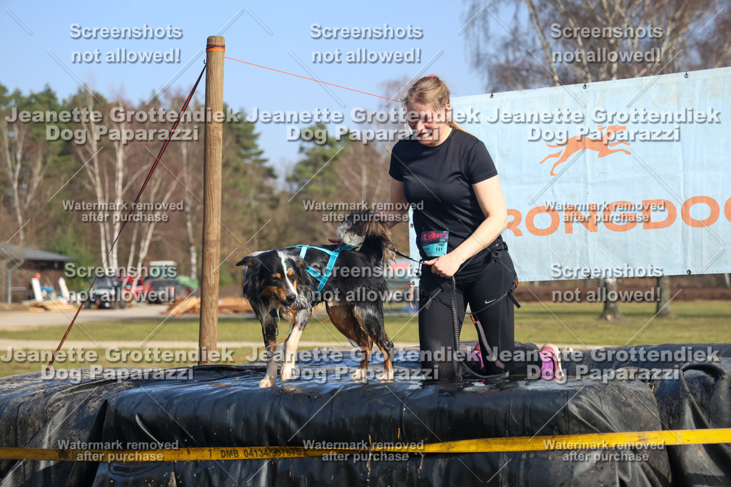 Dog Paparazzi - Strongdog North Mrz26-3158 | Dog Paparazzi Jeanette Grottendiek Fotografie & Videografie - Realisiert mit Pictrs.com